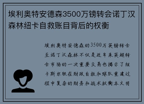 埃利奥特安德森3500万镑转会诺丁汉森林纽卡自救账目背后的权衡